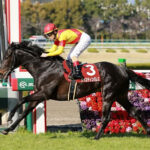 【阪神大賞典】2番人気ジャスティンパレスが快勝!重賞2勝目
