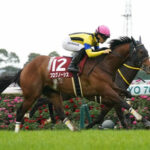 プログノーシス トモに疲れで大阪杯回避