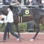 【競馬予想】第57回フィリーズレビュー(GⅡ) /2023