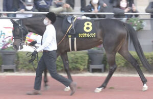 【競馬予想】第57回フィリーズレビュー(GⅡ) /2023