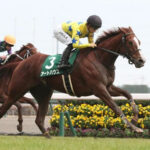 【競馬予想】第41回中山牝馬ステークス(GⅢ) /2023