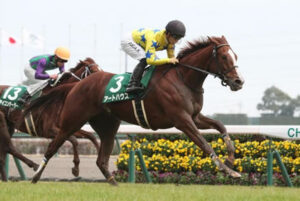 【競馬予想】第41回中山牝馬ステークス(GⅢ) /2023