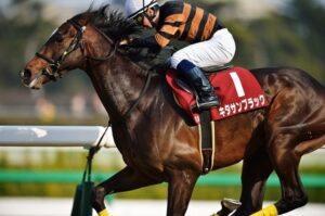 最強馬クラスの馬ってデビュー二戦目でその片鱗を見せるよな