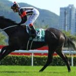 可愛らしい馬名