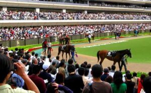 アッこいつ隠れ競馬ファンだなって奴の特徴