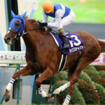 歴代の有馬記念でいちばん強い勝ち方をした馬