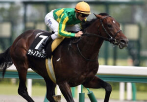 サトノアラジン産駒G1オーストラリアオークス勝利