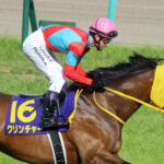 ダート転向が遅かった馬、クリンチャー、アウォーディー、ファリダット