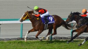 この銀行レースでジャックドール、スターズオンアース買えなかった奴は競馬辞めた方が良いと思う!