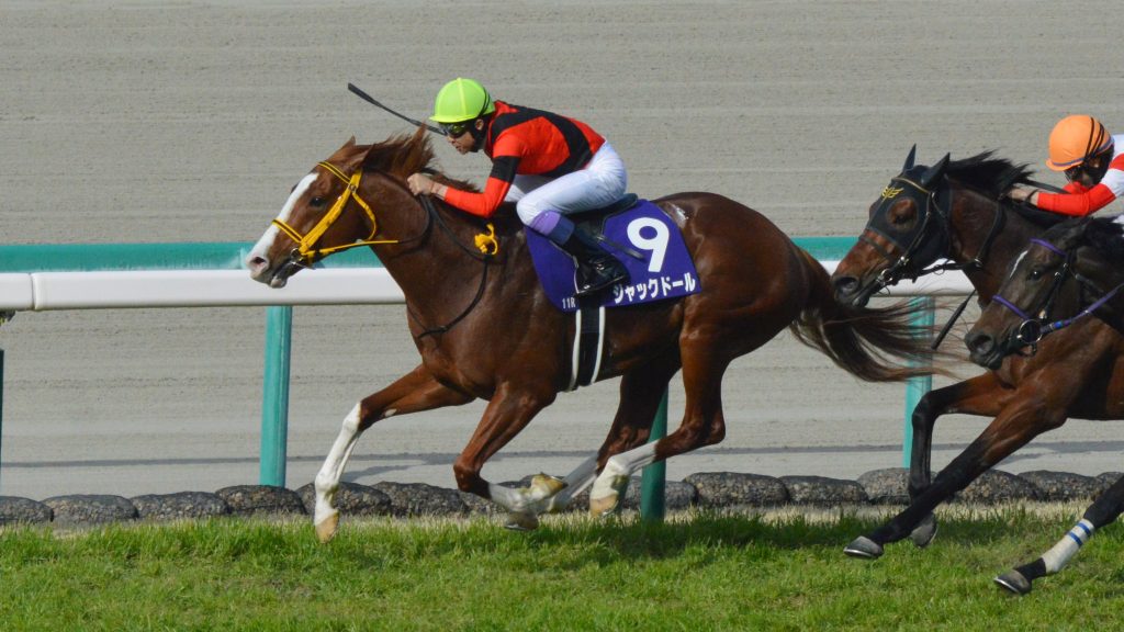 この銀行レースでジャックドール、スターズオンアース買えなかった奴は競馬辞めた方が良いと思う！