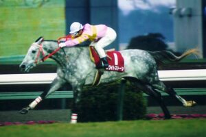 有馬記念1番人気ホワイトストーン　←これ