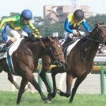 【競馬】香港ロマンチックウォリアー銀行開店