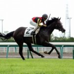 今まで現地で見た中で、一番返し馬がカッコ良かった馬って?