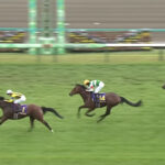 【皐月賞】タスティエーラ松山弘平 2着死守!