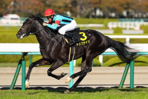 デクラレーションオブウォー 種付け申し込み殺到