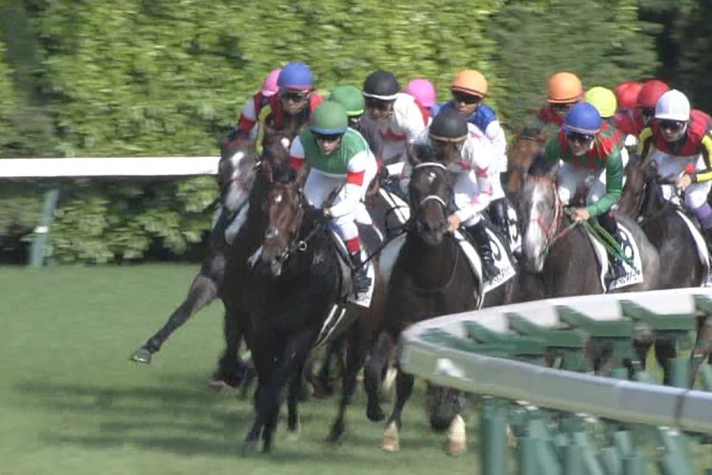 【競馬】本日中山メイン2000m・・超スローで逃げてるのに２番手以下に１０馬身差付ける大逃げ