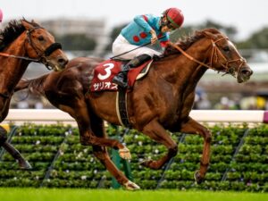 好きな皐月賞2着