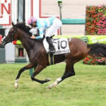 お前身の丈に合ったレースに出ろよと思った馬