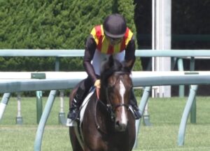 【競馬・大阪杯】ダノンザキッド買えたやつｗｗｗｗｗｗｗｗｗｗｗｗｗｗｗｗ