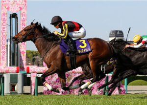 スローじゃないのに阪神で32.9の上がりの脚使えたリバティアイランド