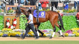 ダノンザキッドやはり強い