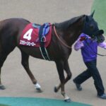 スクリーンヒーロー産駒とかいう急にG1級になるやつら