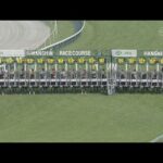 2023 OSAKA HAI (G1) | JRA Official
