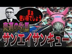 【競馬】休むことが許されなかった悲運の牝馬