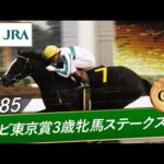 1985年 テレビ東京賞3歳牝馬ステークス(GⅢ) | メジロラモーヌ | JRA公式