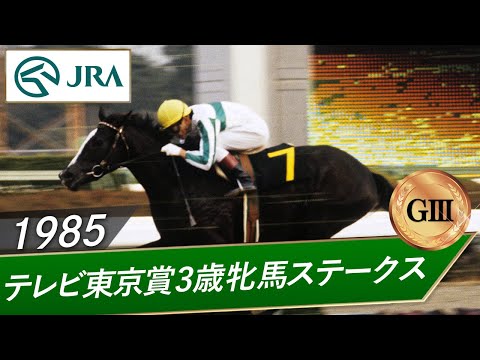 1985年 テレビ東京賞3歳牝馬ステークス（GⅢ） | メジロラモーヌ | JRA公式