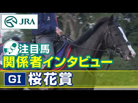 【注目馬 関係者インタビュー】2023年 桜花賞｜JRA公式