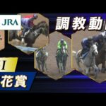 【調教動画】2023年 桜花賞|JRA公式