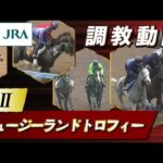 【調教動画】2023年 ニュージーランドトロフィー|JRA公式