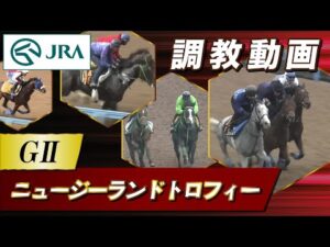 【調教動画】2023年 ニュージーランドトロフィー｜JRA公式