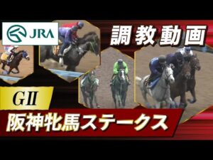 【調教動画】2023年 阪神牝馬ステークス｜JRA公式