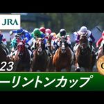 2023年 アーリントンカップ(GⅢ) | 第32回 | JRA公式