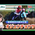 【3分でわかる】オジュウチョウサン・障害競走の絶対王者 | JRA公式