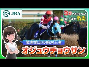 【3分でわかる】オジュウチョウサン・障害競走の絶対王者 | JRA公式