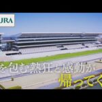 京都競馬場”はじまる” | JRA公式