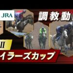 【調教動画】2023年 マイラーズカップ|JRA公式