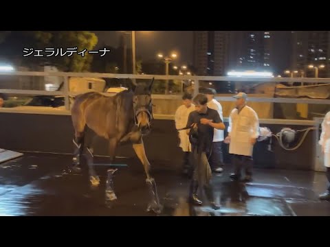 【2023香港チャンピオンズデー】ジェラルディーナなど日本馬4頭が香港に到着 | JRA公式