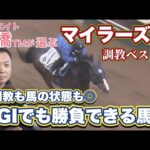 【第１位は文句なしでこの馬！】マイラーズカップ攻略へ！予想のヒントがここに！競馬エイト・高橋賢司トラックマンの調教解説＜マイラーズカップ（GⅡ）＞