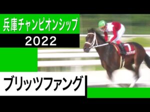 【兵庫チャンピオンシップ2022】ブリッツファングが8馬身差圧勝で重賞初V！＜カンテレ競馬×そのだけいば＞