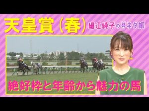 【頭はあの２頭！？「今までと全然違う！」注目のアナ馬も！】天皇賞・春(GⅠ)を元ジョッキーの細江純子さんが徹底解説！＜細江純子のネタ帳＞