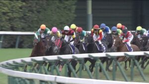 【競馬・皐月賞】キタサンブラック種牡馬大成功ｗｗｗｗｗｗｗｗｗｗｗｗｗｗｗｗ
