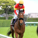 【皐月賞】10着ベラジオオペラ田辺買ったヤツwww