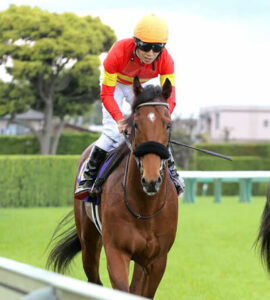 【皐月賞】10着ベラジオオペラ田辺買ったヤツwww