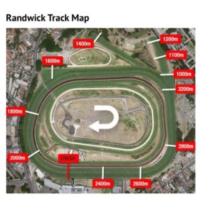 オールエイジドS出走馬確定。ホウオウアマゾンvs豪モーリス産Mazu