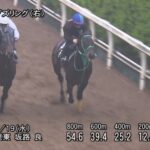 【フローラステークス2023】追い切り/抜群の動きを見せたのは