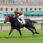 好きなアドマイヤとエイシンあげてけ